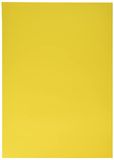 Folia Panda Folia 6315 - gekleurd papier goudgeel, DIN A3, 130 g/m², 50 vellen