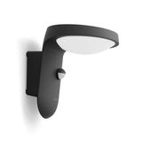 Philips Hue Philips Tyla Buitenmuurverlichting Antraciet LED IP44 Zonne-energie met Bewegingssensor
