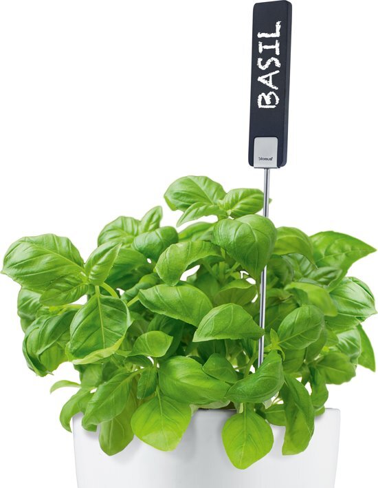 - Blomus Pure Life Planta Plantnaambordje