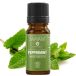 Mayam Huile essentielle Menthe (M - 1331), 10 ml