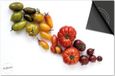 Dietrix Inductie beschermer 60x52 - Groente en Fruit - Diverse groenten