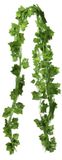 Merkloos Kunstmatige Klimop Slingers - 12 Stuks Groene Decoratie