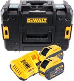 DeWalt DCB118Y2T Starterset (2x 12Ah accu) in TSTAK