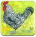 Alex Clark C82 Kura Marans