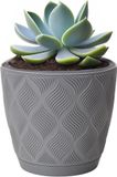 Form Plastic Plantenpot/bloempot New Age - kunststof - platina grijs - D23 x H21 cm - met opvang schotel - rond