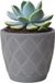 Form Plastic Plantenpot/bloempot New Age - kunststof - platina grijs - D23 x H21 cm - met opvang schotel - rond