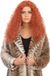 Bristol Novelty Ltd Bristol Novelty Womens/Ladies Long Frizzy Wig (Auburn)