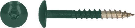 pgb-Europe PGB-FASTENERS HPL schroef Tx20 4,8x38 R6005 A4