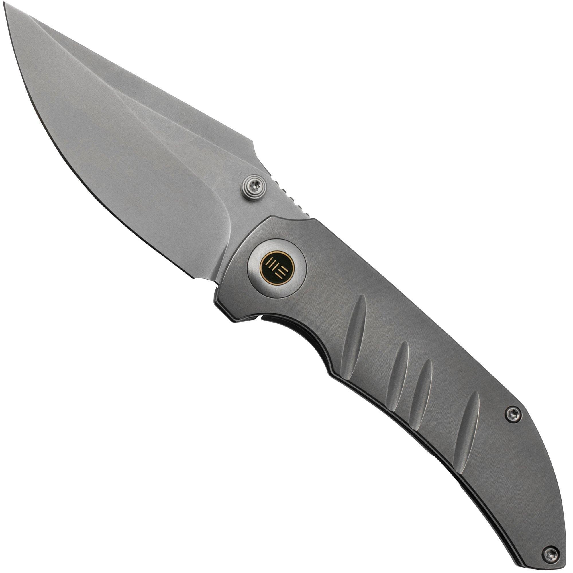 WE Knife Riff-Raff Grey Titanium, Blasted CPM 20CV WE22020B-4 zakmes, Matt Christensen design