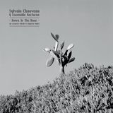 PIAS Nederland Pias Sylvain Chauveau & Ensemble Nocturn - Down To The Bone (CD)