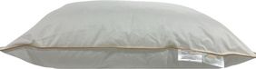 Princess Line Oreiller Moyen 60x70 cm Coton Tijk Bordure Dorée Qualité Hôtel