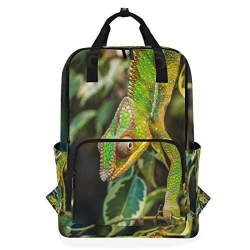 MONTOJ Travel Rugzak Chameleon Grab Leave School Rugzak