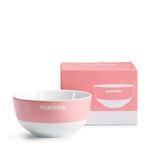 Pantone Ontbijtkom van duurzaam porselein, vuilafstotend, krasbestendig, geurloos, grote ontbijtbeker voor muesli, 650 ml, 13,8 x 7 cm, keukenkommen voor vaatwasser en magnetron, cadeau-ideeën voor