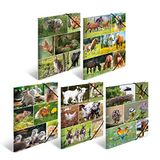 HERMA Assortimentsmap A4 Animal Worlds 10 st.