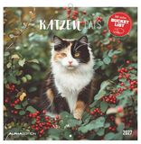 Katzen Neumann Verlage GmbH & Co KG Katzen 2027
