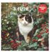 Katzen Neumann Verlage GmbH & Co KG Katzen 2027