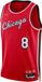 Nike NBA Chicago Bulls Zach Lavine City Edition 2021 T-shirt DB4021657