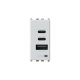 4box - Vimar® Plana™ compatibele 20 W CCA USB-voeding