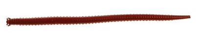 Berkley Gulp! Alive! Bloodworm, Bloody, 15,2 cm