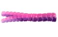 Forel Magneet Unisex 50-Pack Split-Tail Grub Body Pack