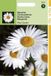 Hortitops Zaden - Chrysanthemum Vernale Leuc.May Queen