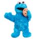 Sesame Just Play 34,3 cm hoge Sesamstraat Cookie Monster knuffel met bewegingen en geluidseffecten