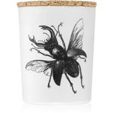 Vila Hermanos Insect Geurkaarsen 75 gr