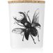 Vila Hermanos Insect Geurkaarsen 75 gr
