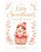 Little Sweethearts Colouring Book Treasury