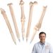 Funny ballpoint pens in bone shape - Set of 5 - Gel pens - 0.6 mm - Medical students and nurses
