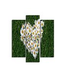 Homemania Wandafbeelding, 3 stuks, natuur, voor woonkamer, slaapkamer, meerkleurig, 57 x 0,3 x 60 cm, HM203MDF211, MDF