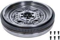 SACHS Schwungrad 2295000324