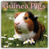 Guinea Gifted Stationery Guinea Pigs - Meerschweinchen 2027 - 16-Monatskalender