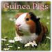 Guinea Gifted Stationery Guinea Pigs - Meerschweinchen 2027 - 16-Monatskalender