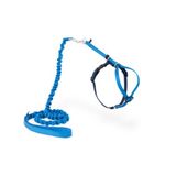 PetSafe Easy Walk Kattenharnas met elastische riem, veilige wandeling, verstelbare maat, klein (S), koningsblauw