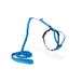 PetSafe Easy Walk Kattenharnas met elastische riem, veilige wandeling, verstelbare maat, klein (S), koningsblauw