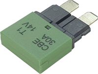 Hansor CBE1-3014 Zekeringautomaat standaard vlakzekering 30 A Groen 1 stuk(s)