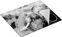 Chefcare Inductie Beschermer Kleurrijke Olifant - Abstract - Zwart Wit - 65x52 cm - Inductie Mat