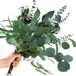 Ibenzoa® Decoratieve Gedroogde Eucalyptus Set van 12 Stuks