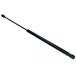 Maxgear Vérin de hayon, de coffre 12-1922 Ford 1034930 1088369 V97fb-c406a10-ac