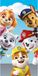 PAW Patrol Strandlaken Hello - 70 x 140 cm - Katoen