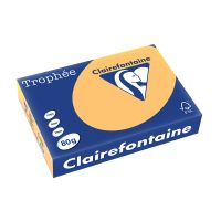 Clairefontaine Gekleurd Papier Goudgeel A4 - 500 Vel