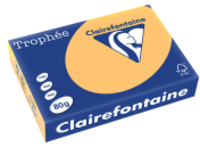 Clairefontaine Clairefontaine gekleurd papier goudgeel 80 grams A4 (500 vel)