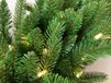 National Tree Company Verlichte kerstkrans "Grande Fir" - groen - Ø 91 cm - 150 warm witte ledlampjes