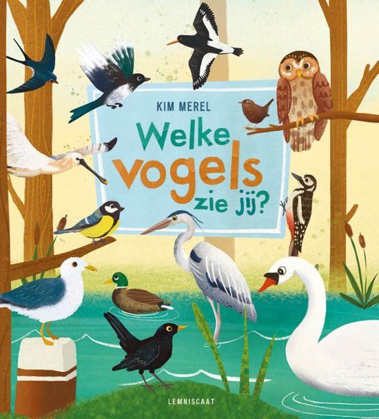 Welke Lemniscaat Welke vogels zie jij?