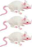 Chaks Stretchy nep rat 17 x 14 cm - 3x - wit - Horror/griezel thema decoratie
