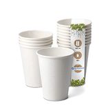 GREENBOX Organische papieren bekers, 50 stuks, 300 ml