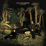 Evergreen - Echo & The Bunnymen - Evergreen (CD) (Remastered)