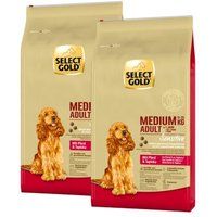 SELECT GOLD Sensitive Adult Medium Horse & Tapioca Dry Dog Food 2x12 kg