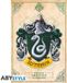 ABYstyle HARRY POTTER - Slytherin - Poster 91x61cm
